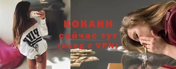 круглые Корсаков