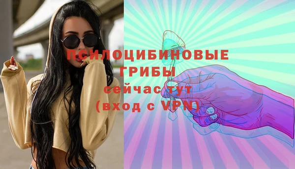 круглые Корсаков