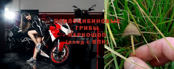 прущий лед Костерёво